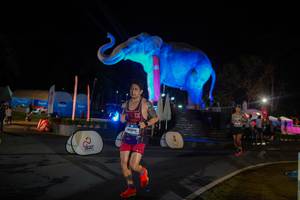 BIB: 
                            <button type="button" onclick="openModal(26552378)" class="btn btn-primary btn-sm float-right btn-popup" data-toggle="modal" data-target=".modal-high-quality">
                        <i class="fas fa-shopping-cart"></i> Add to Cart
                    </button>
                                            <button type="button" onclick="isThisMe(26552378, true)" class="btn btn-success btn-sm float-right btn-popup btn-isme hidden" data-toggle="tooltip" data-placement="bottom" title="นี่คือรูปของคุณใช่ไหม คลิกที่นี่เพื่อเอาเข้าอัลบั้ม">
                        <i class="fas fa-plus"></i> Add to album
                    </button>
                    <button type="button" onclick="isThisMe(26552378, false)" class="btn btn-warning btn-sm float-right btn-popup btn-isnotme hidden">
                        <i class="fas fa-ban"></i> Remove from album
                    </button>